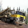 木材貨運卡車遊戲官方版下載-木材貨運卡車2021最新漢化版下載v0.1