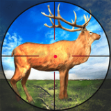 模擬狙擊狩獵3D安卓版下載安裝-模擬狙擊狩獵3D手機版下載安裝