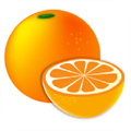 柑橘閱讀app免費版下載-柑橘閱讀app安卓版下載