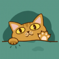 桔小貓短視頻app官方版最新下載-桔小貓短視頻app最新版下載