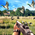 獵鴨射擊模擬器官方版下載-獵鴨射擊模擬器遊戲下載