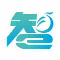 鳳凰少年智下載-鳳凰少年智app手機安卓版免費下載