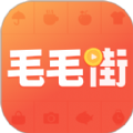 毛毛街app官方版最新2022下載-毛毛街極速版下載