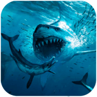 巨齒鯊模擬器遊戲下載-巨齒鯊模擬器安卓版最新下載 