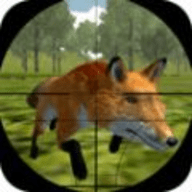 狐狸狩猎狙击手游戏下载