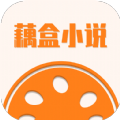 藕盒小說app官方版下載-藕盒小說免費版下載app
