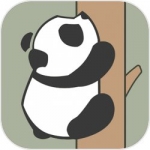 熊貓爬樹遊戲下載安裝-熊貓爬樹安卓版遊戲下載v1.0