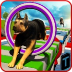 特技狗狗遊戲下載安裝-特技狗狗安卓版遊戲下載v1.3